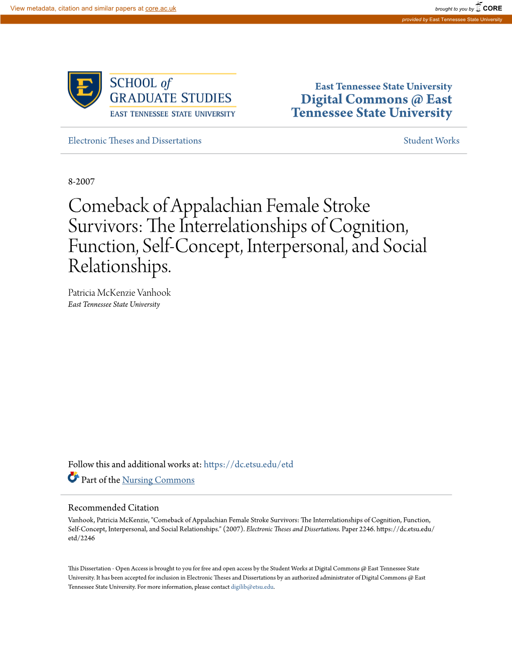 Comeback of Appalachian Female Stroke Survivors: the Ni Terrelationships of Cognition, Function, Self-Concept, Interpersonal, and Social Relationships