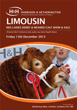 Limousin Red Ladies Derby & Weaned Calf Show & Sale