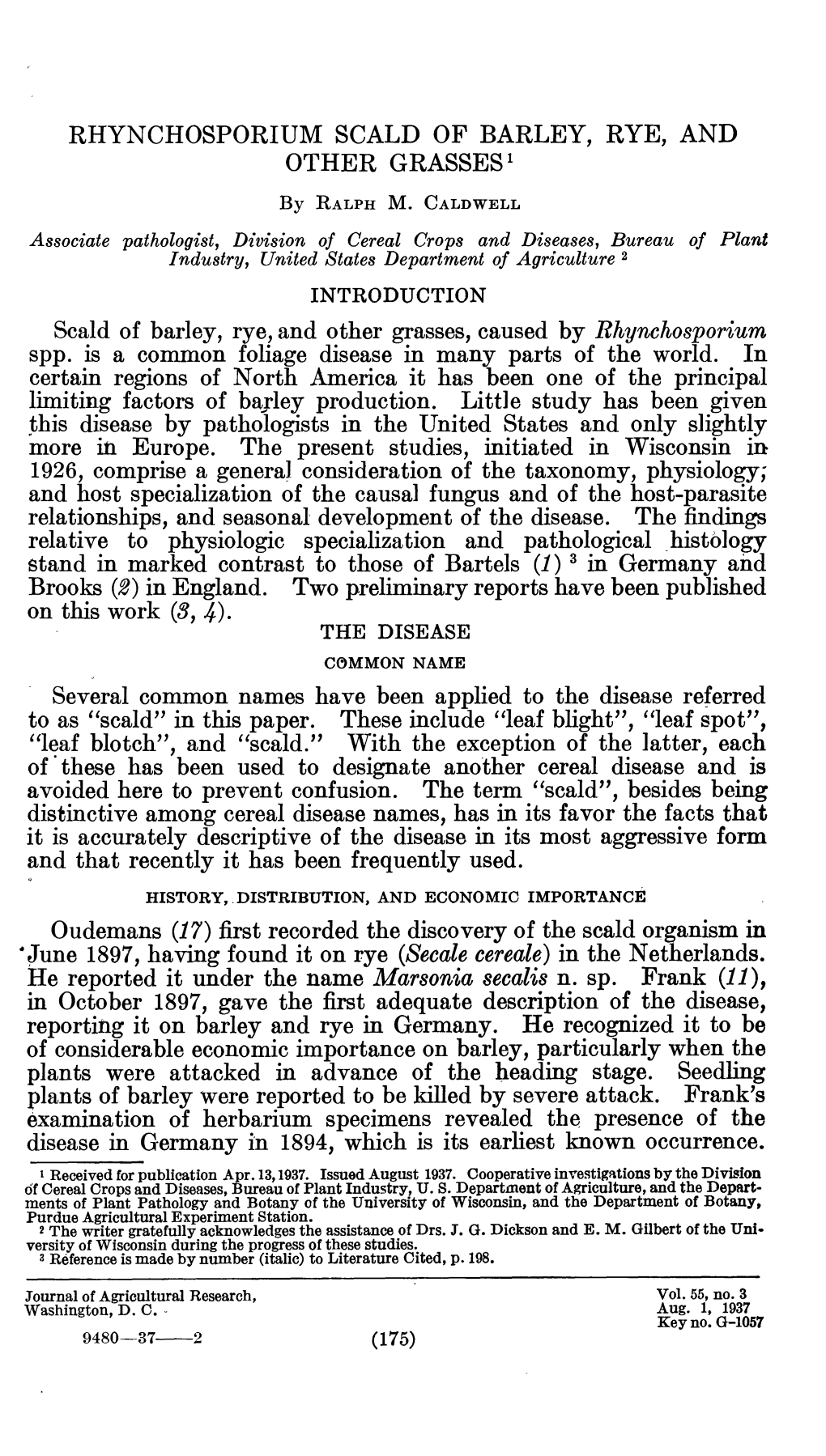 Rhynchosporium Scald of Barley, Rye, and Other Grasses'