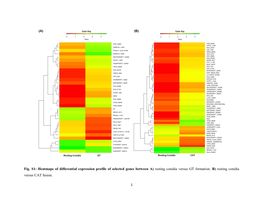 Heatmaps of Differential Expression Profile of Selected Genes Between A) Resting Conidia Versus GT Formation