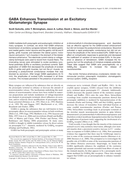GABA Enhances Transmission at an Excitatory Glutamatergic Synapse