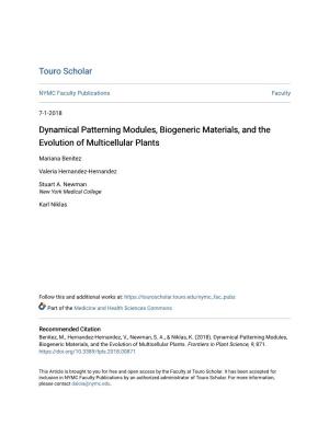 Dynamical Patterning Modules, Biogeneric Materials, and the Evolution of Multicellular Plants