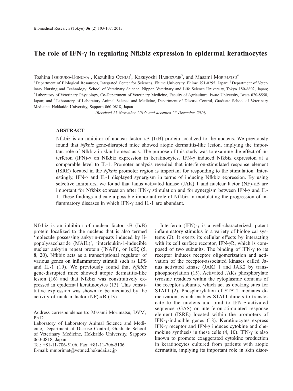 The Role of IFN-Γ in Regulating Nfkbiz Expression in Epidermal Keratinocytes