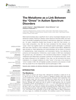 The Metallome As a Link Between the ``Omes'' in Autism Spectrum