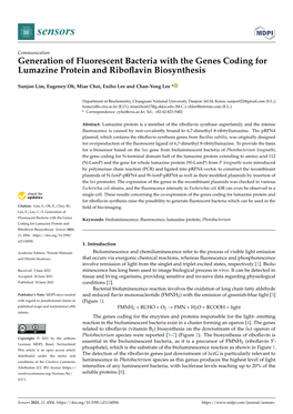 Generation of Fluorescent Bacteria with the Genes Coding for Lumazine Protein and Riboﬂavin Biosynthesis