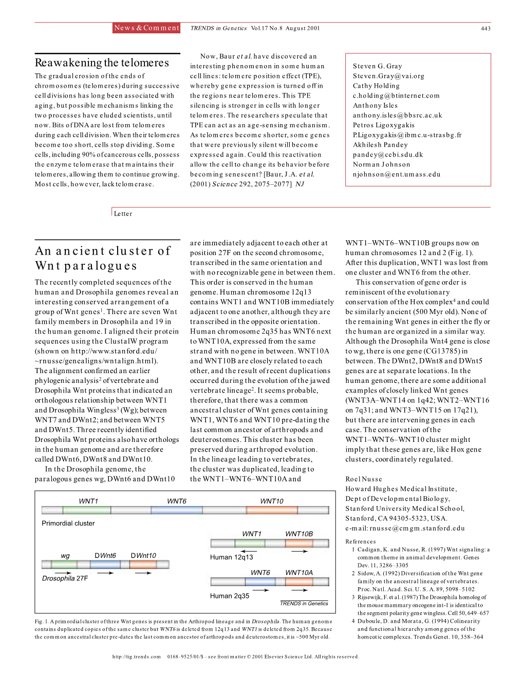 An Ancient Cluster of Wnt Paralogues