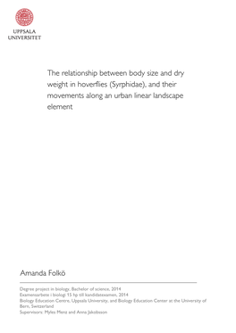The Relationship Between Body Size and Dry Weight in Hoverflies (Syrphidae), and Their Movements Along an Urban Linear Landscape Element