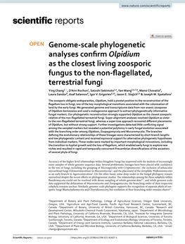 Genome-Scale Phylogenetic Analyses Confirm Olpidium As the Closest