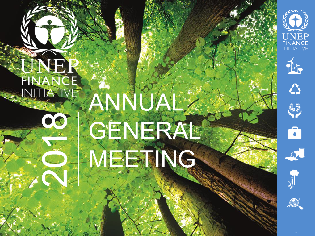 Annual General Meeting