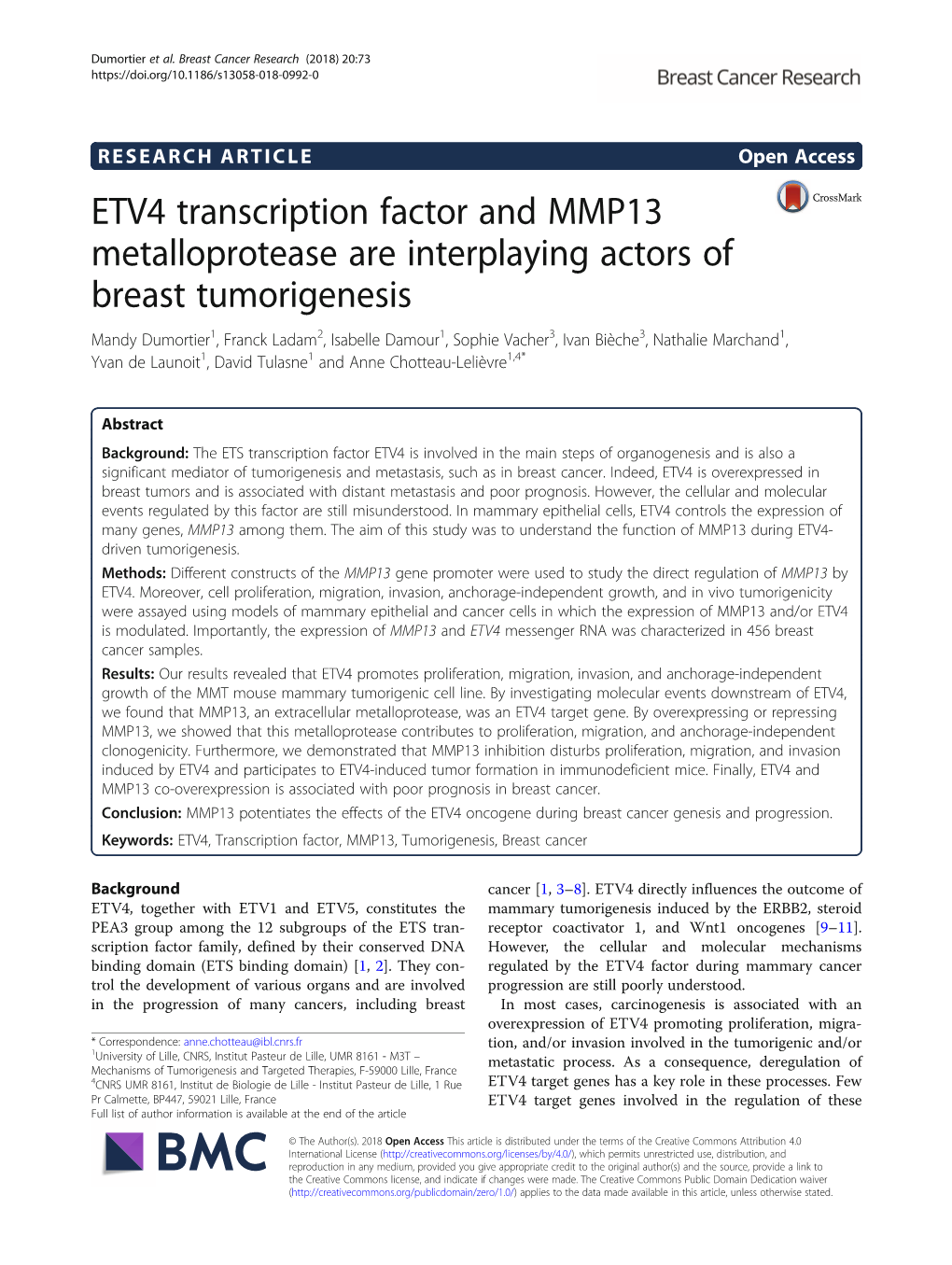 ETV4 Transcription Factor and MMP13 Metalloprotease Are Interplaying