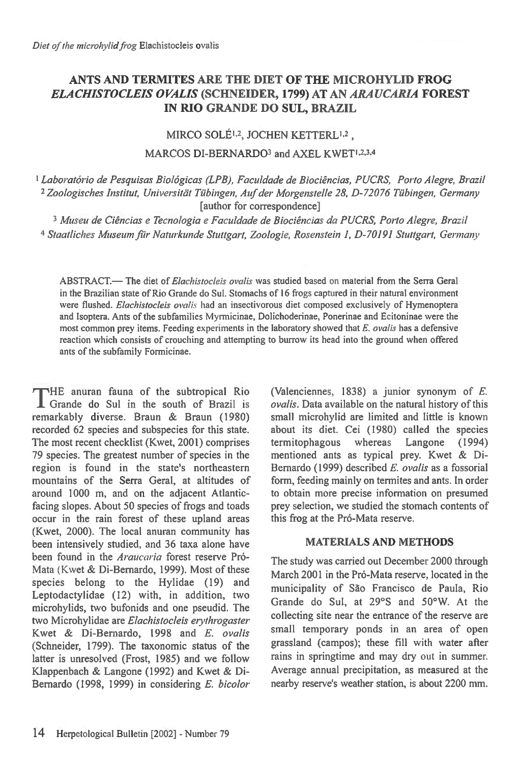 Ants and Termites Are the Diet of the Microhylid Frog Elachistocleis Ovalis (Schneider, 1799) at an Araucaria Forest in Rio Grande Do Sul, Brazil