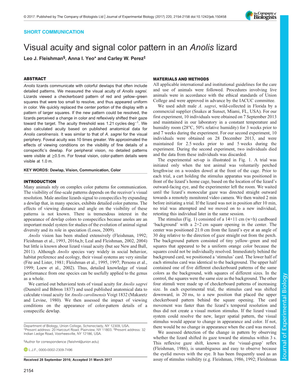 Visual Acuity and Signal Color Pattern in an Anolis Lizard Leo J