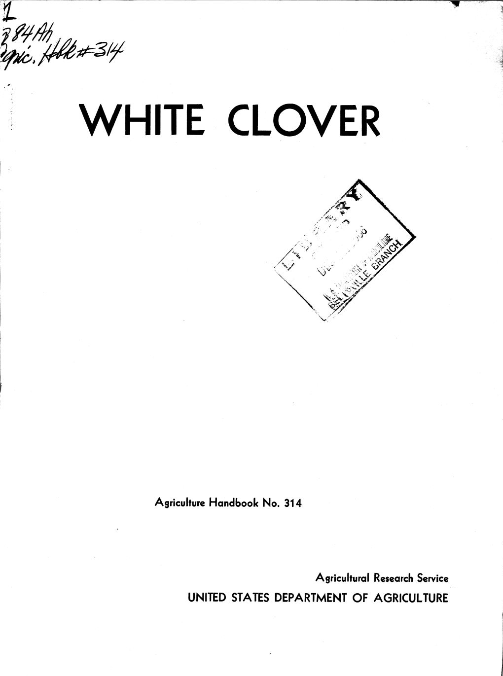 White Clover