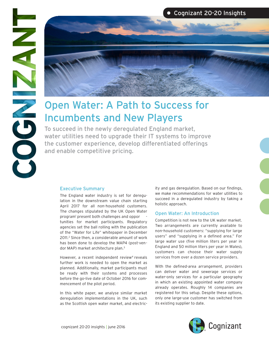 Open Water: a Path to Success for Incumbents and New Players