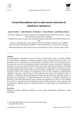 Sexual Dimorphism and Sex Pheromone Detection in Aphidoletes Aphidimyza