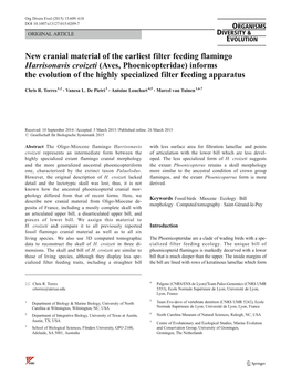 New Cranial Material of the Earliest Filter Feeding Flamingo Harrisonavis