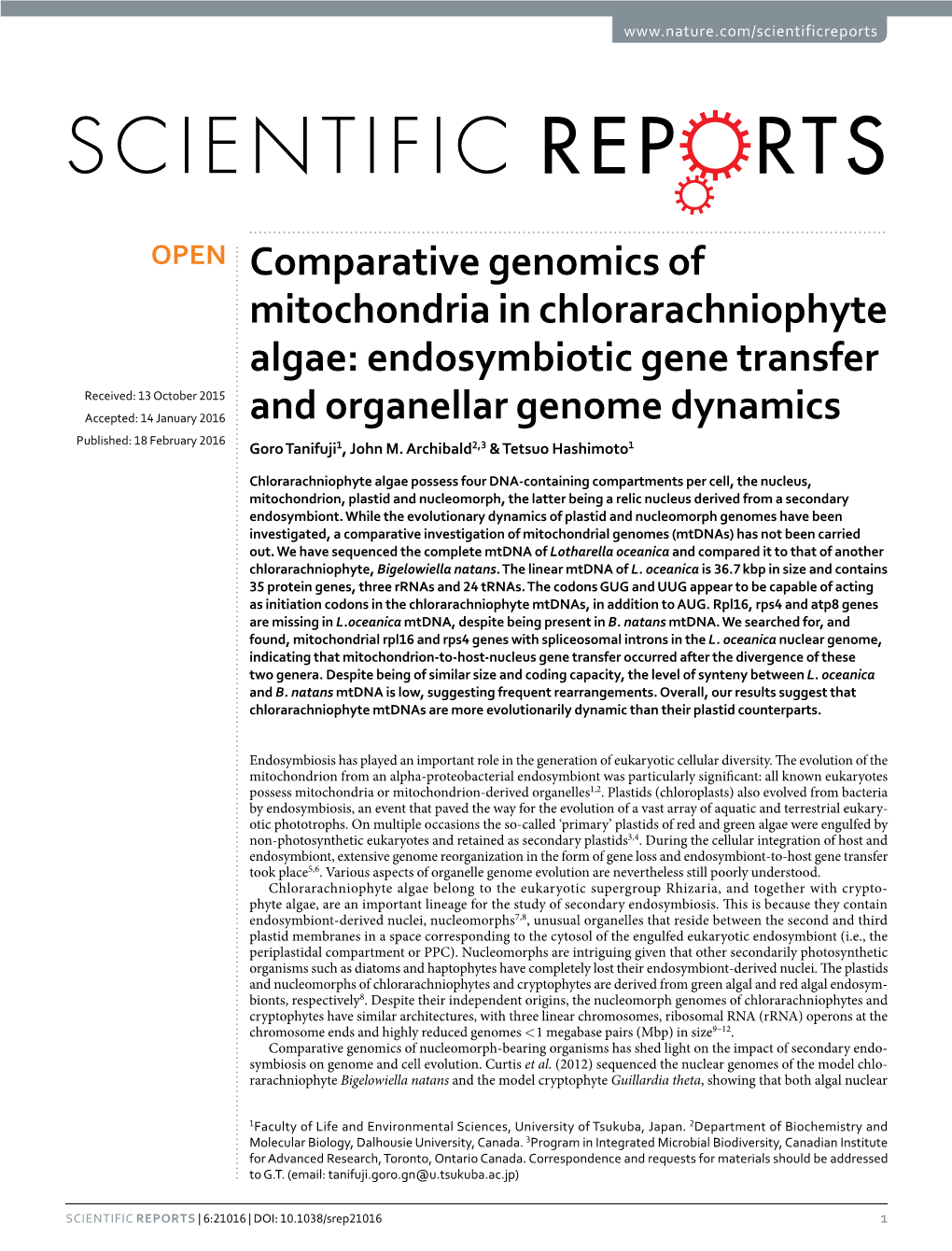 Comparative Genomics of Mitochondria in Chlorarachniophyte