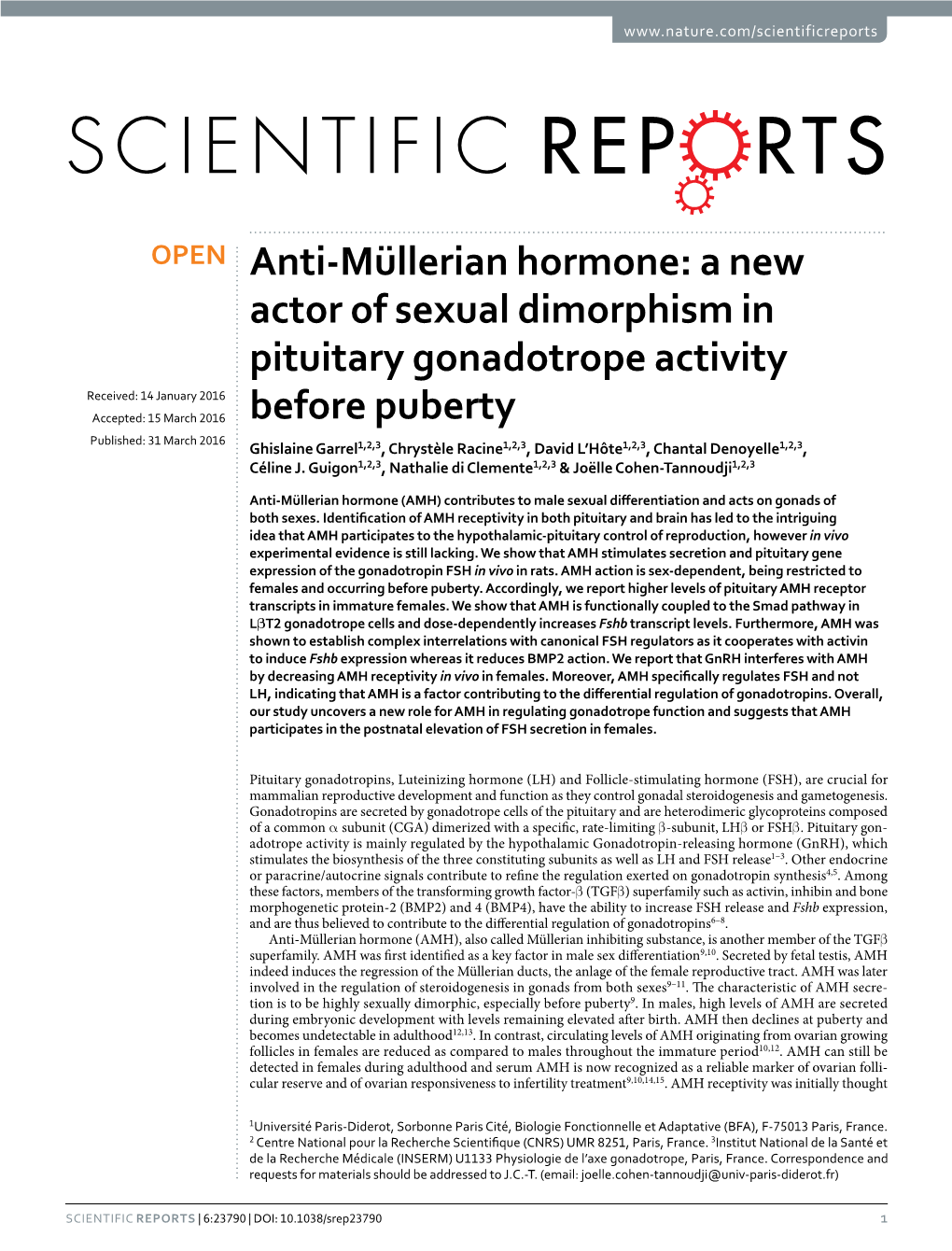 A New Actor of Sexual Dimorphism in Pituitary Gonadotrope Activity Before Puberty