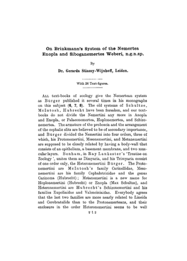 On Brinkmann's System of the Nemertea Enopla and Siboganemertes Weberi, N.G.N.Sp