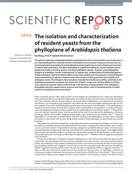 The Isolation and Characterization of Resident Yeasts from the Phylloplane of Arabidopsis Thaliana Received: 12 July 2016 Kai Wang, Timo P