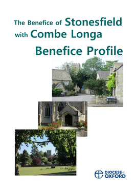 Stonesfield and Combe Profile Final