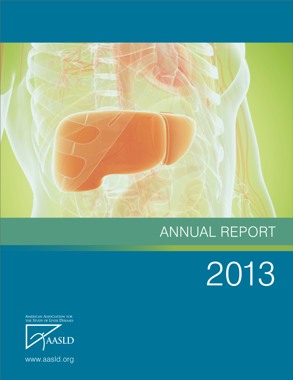 Annual Report 2013