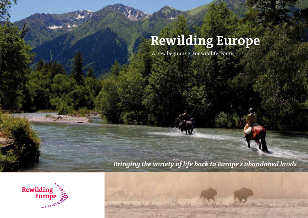 Rewilding Europe a New Beginning