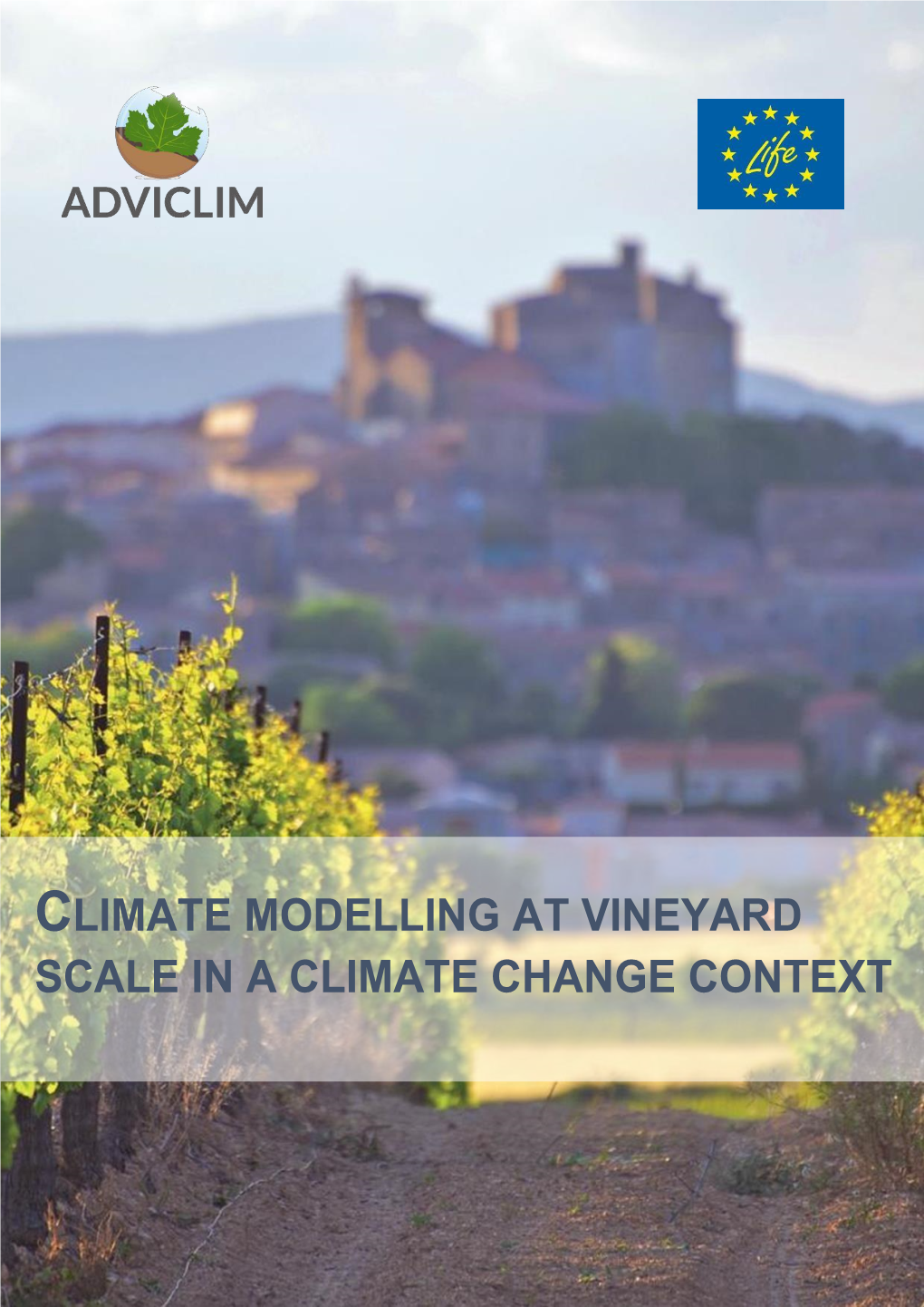 Climate Modelling at Vineyard Scale in a Climate Change Context