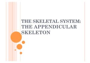 The Appendicular Skeleton Appendicular Skeleton