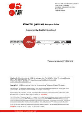 Coracias Garrulus, European Roller
