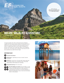 BELIZE: WILDLIFE ADVENTURE 7 Or 8 Days | Belize