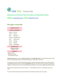 Hexaplex Trunculus