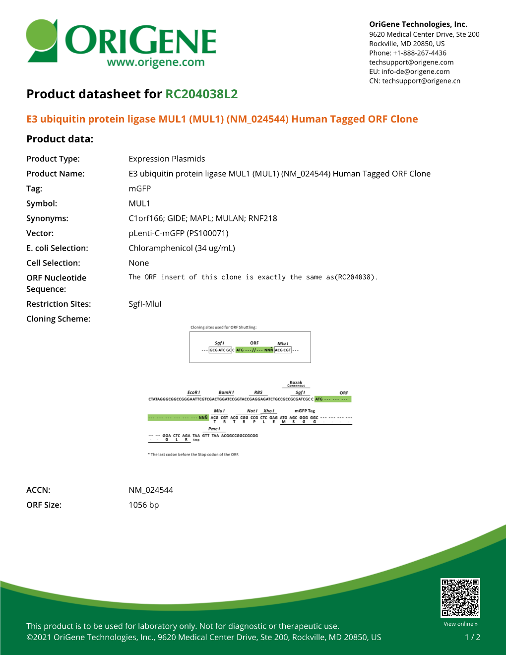 (MUL1) (NM 024544) Human Tagged ORF Clone – RC204038L2