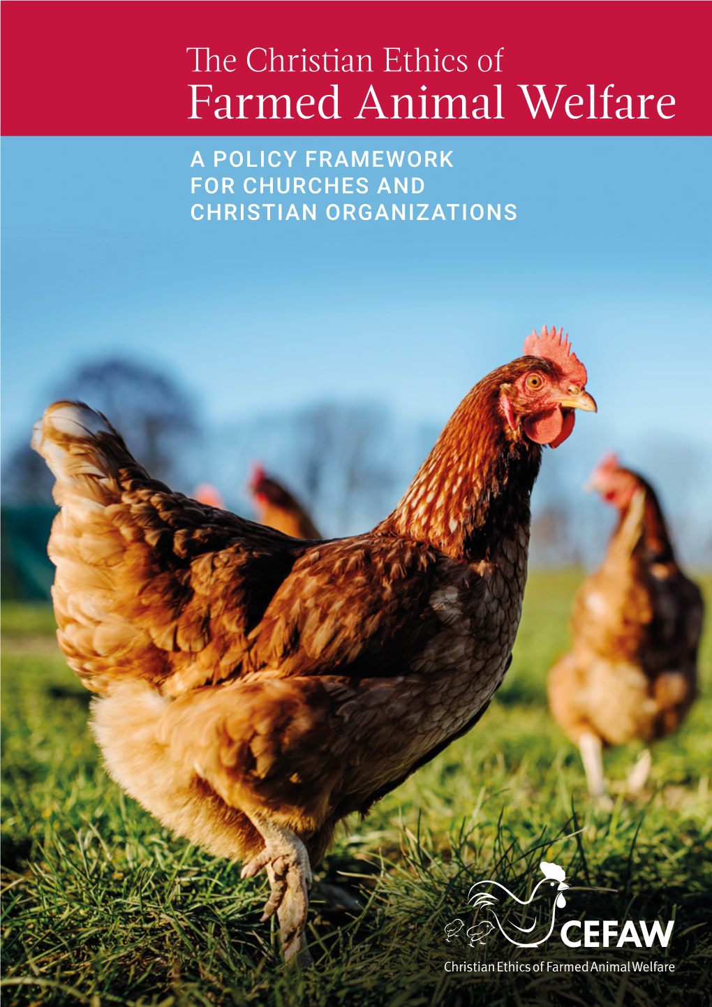 The Christian Ethics of Farmed Animal Welfare a POLICY FRAMEWORK for CHURCHES and CHRISTIAN ORGANIZATIONS