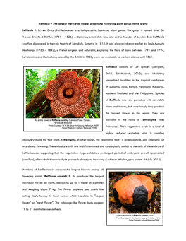 Rafflesia – the Largest Individual Flower Producing Flowering Plant Genus in the World