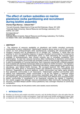 The Effect of Carbon Subsidies on Marine Planktonic Niche Partitioning