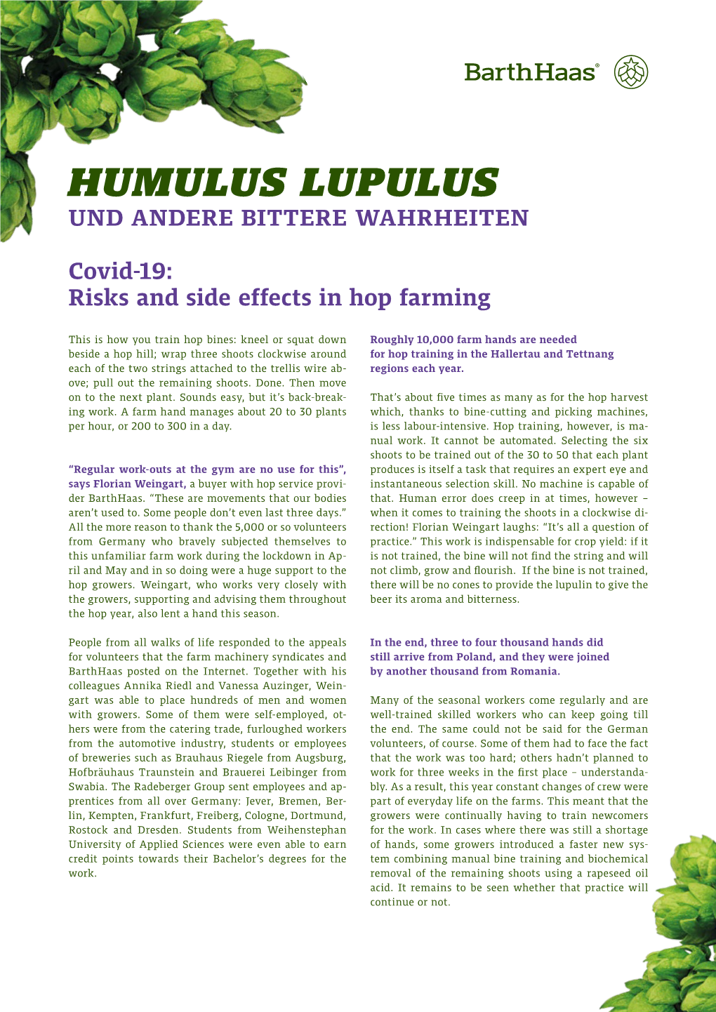 Humulus Lupulus Und Andere Bittere Wahrheiten