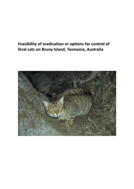 Feasibility of Eradication Or Options for Control of Feral Cats on Bruny Island, Tasmania, Australia