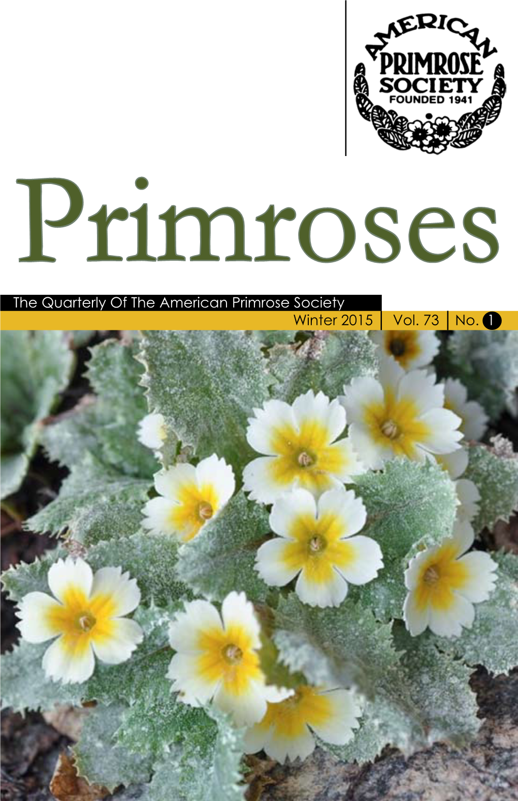 The Quarterly of the American Primrose Society Winter 2015 Vol