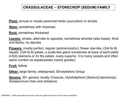 Stonecrop (Sedum) Family