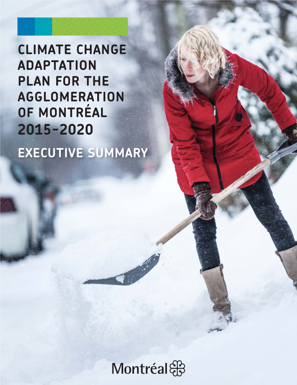 Climate Change Adaptation Plan for the Agglomeration of Montréal 2015-2020