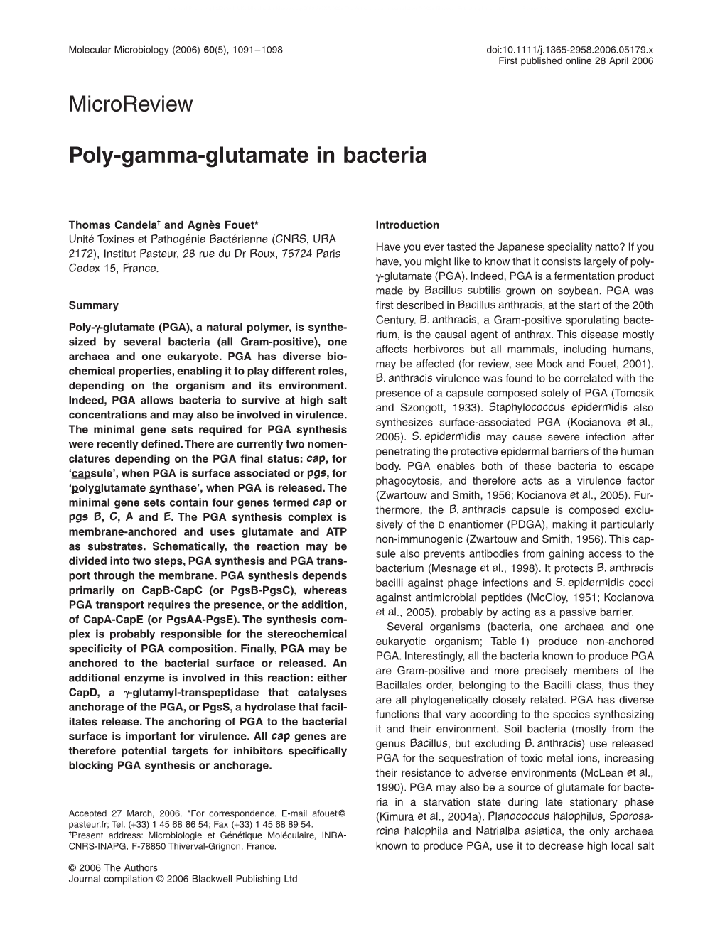 Poly-Gamma-Glutamate in Bacteria