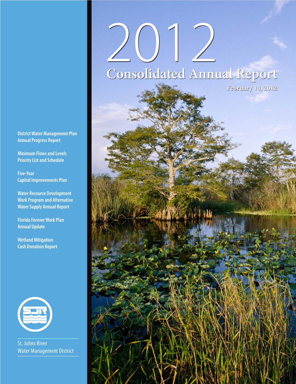 Consolidated Annual Report February 14, 2012