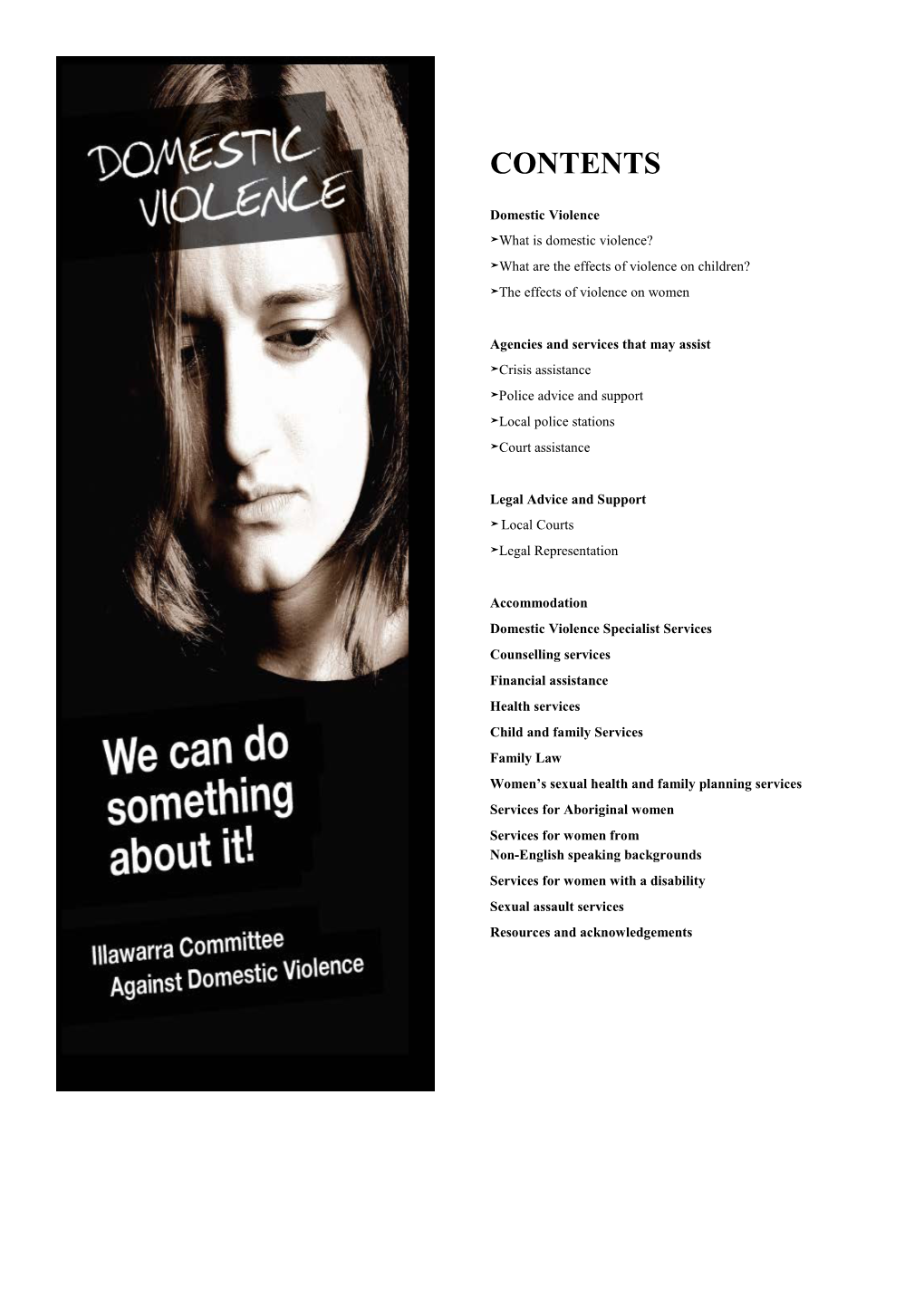 Domestic Violence Booklet