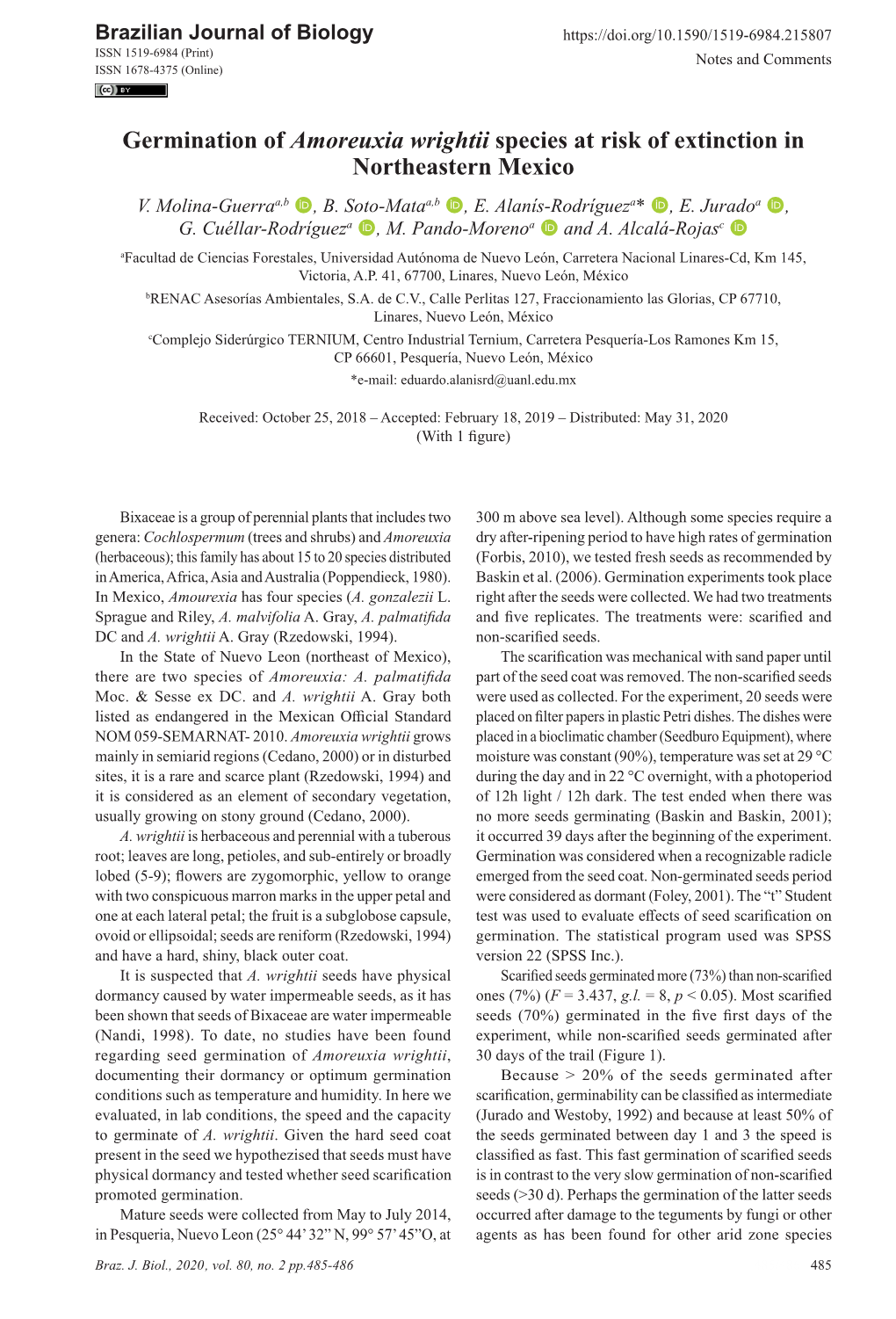 Germination of Amoreuxia Wrightii Species at Risk of Extinction in Northeastern Mexico V