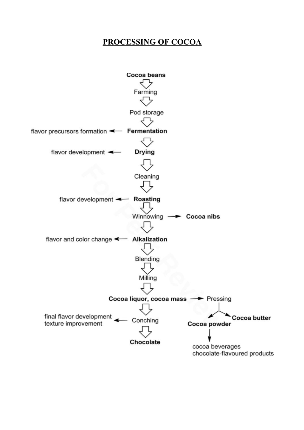 Processing of Cocoa