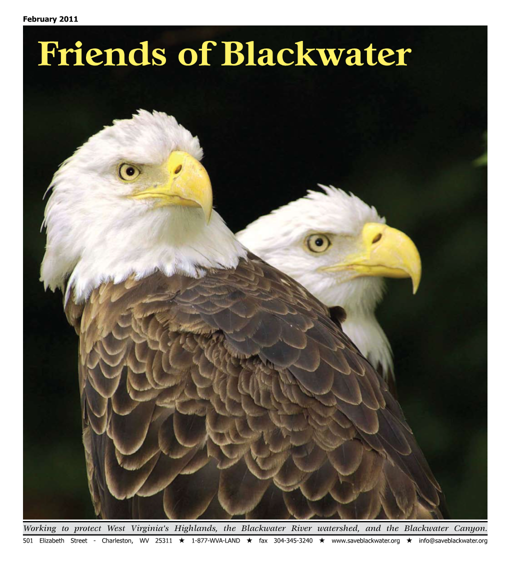 Friends of Blackwater