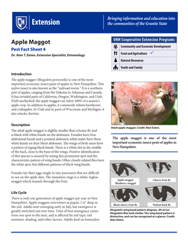Apple Maggot Pest Fact Sheet 4 Dr