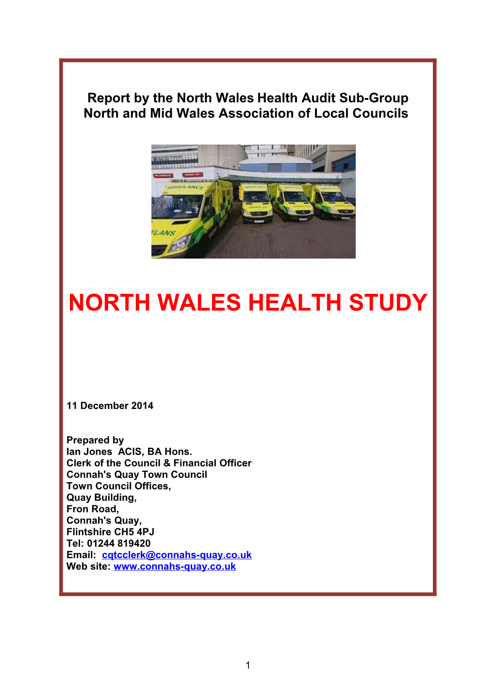 Report by the North Wales Health Audit Sub-Group