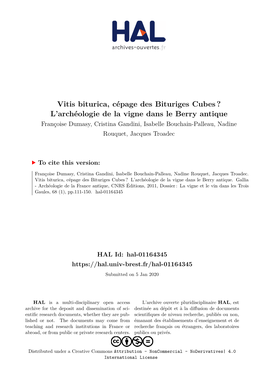 Vitis Biturica, Cépage Des Bituriges Cubes? L'archéologie De La Vigne